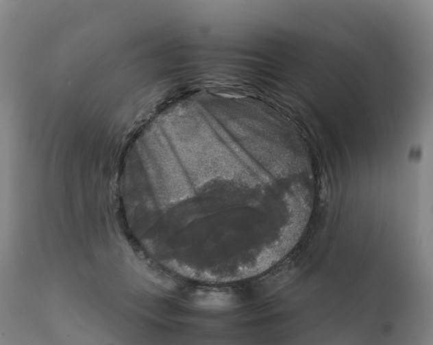 X0000111810559200908131502