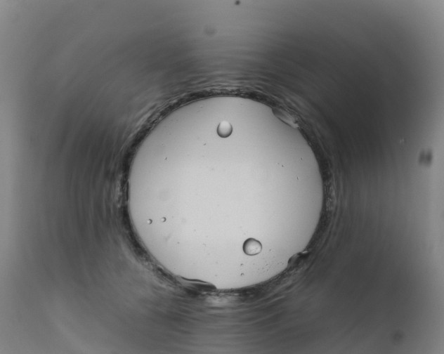 X0000111810560200908131502