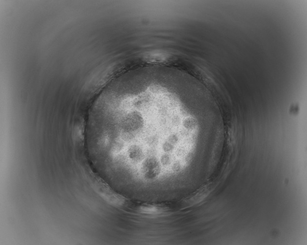 X0000111810561200908131502