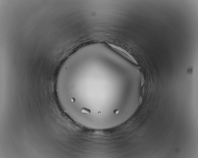 X0000111810562200908131502