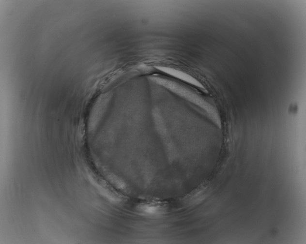 X0000111810563200908131502