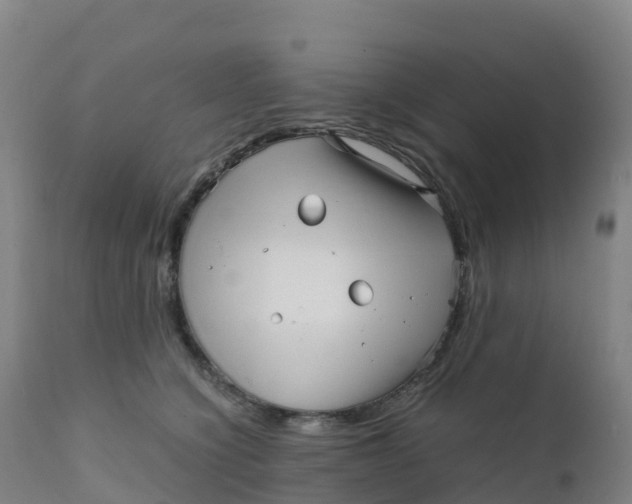 X0000111810564200908131502