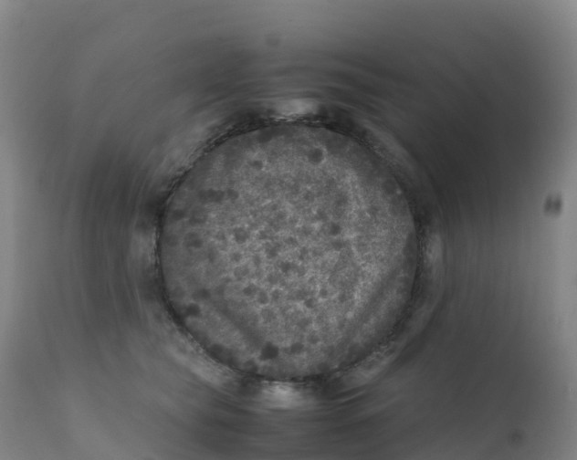 X0000111810565200908131502