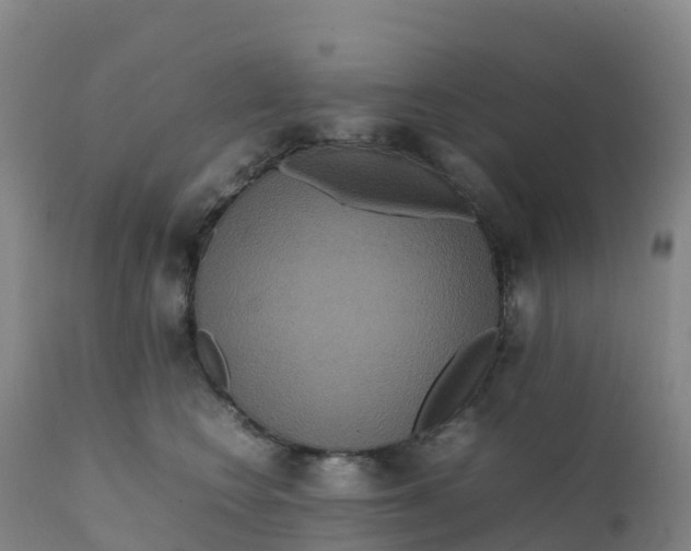 X0000111810566200908131502