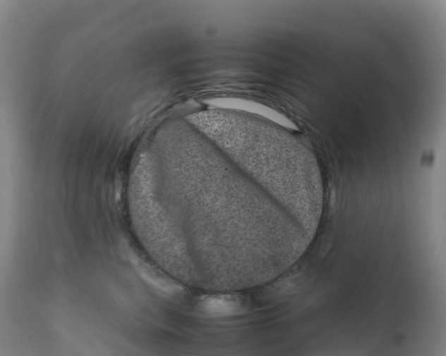 X0000111810567200908131502