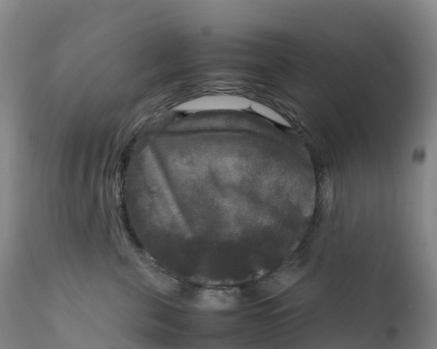 X0000111810571200908131502