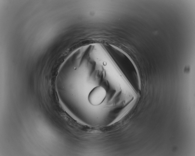 X0000111810572200908131502