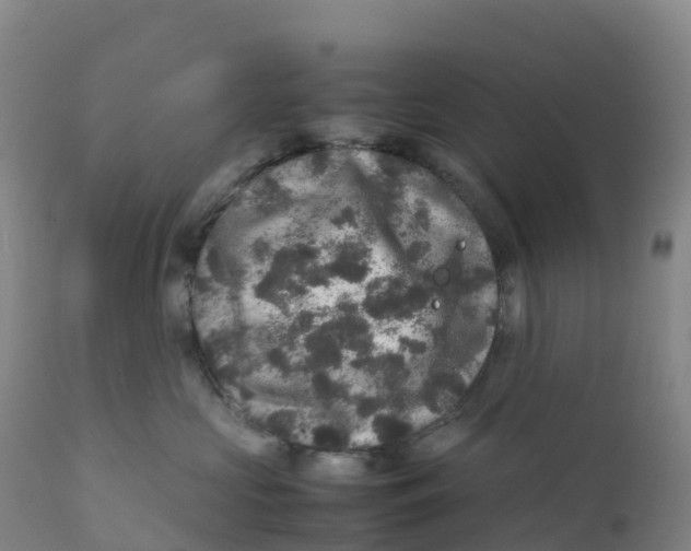 X0000111810573200908131502