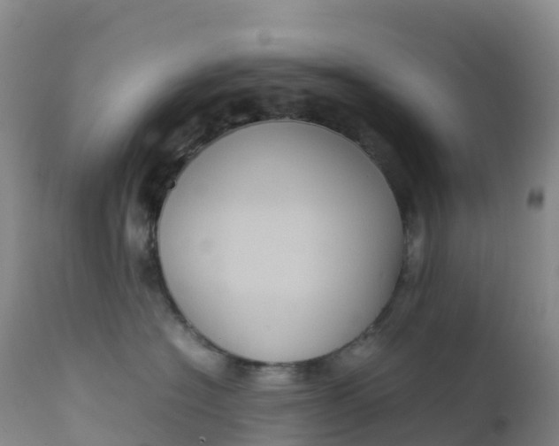 X0000111810574200908131502