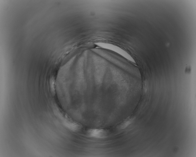X0000111810575200908131502