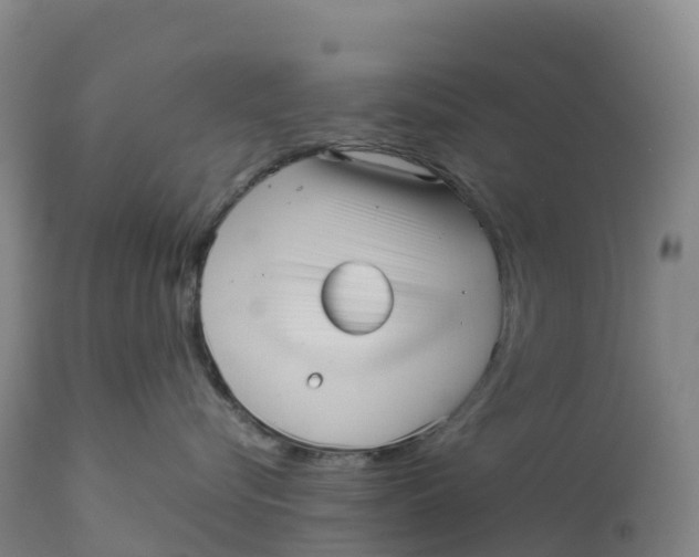 X0000111810576200908131502