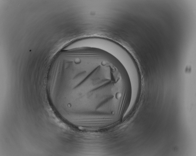 X0000111810577200908131501