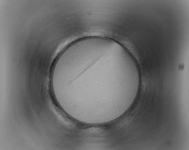 X0000111810578200908131501
