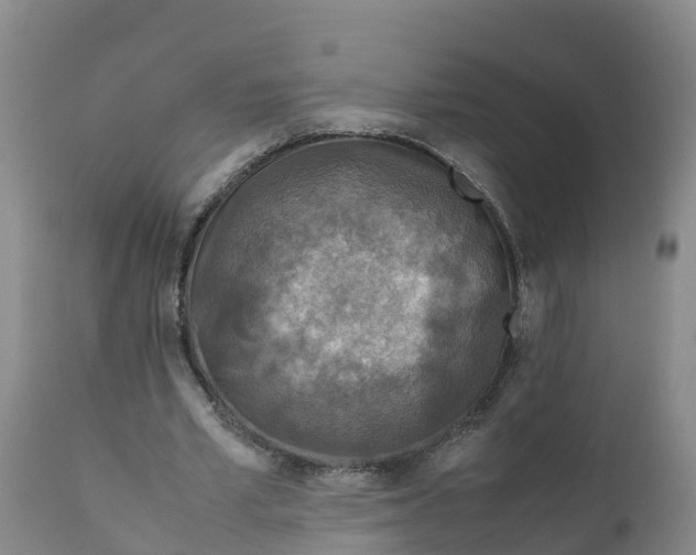 X0000111810581200908131501