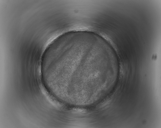 X0000111810582200908131501