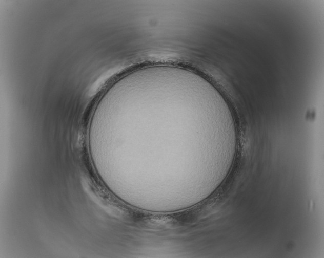 X0000111810583200908131501