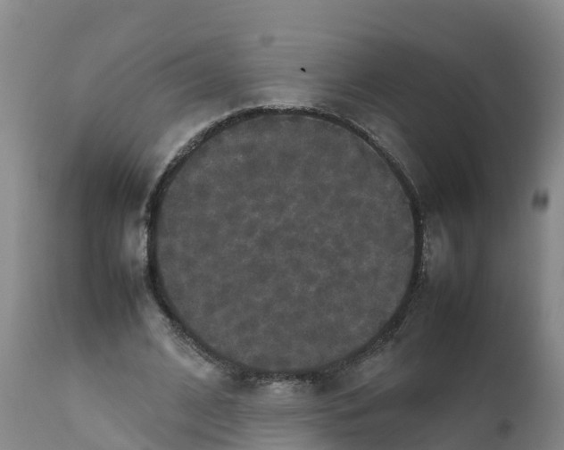 X0000111810584200908131501