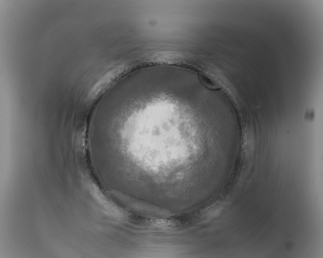 X0000111810585200908131501