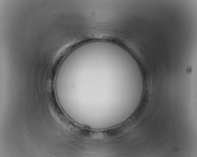 X0000111810587200908131501