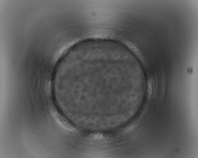 X0000111810588200908131501