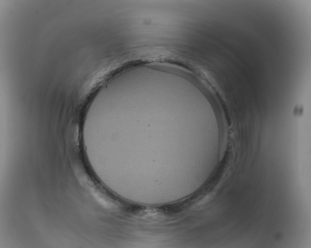 X0000111810589200908131501