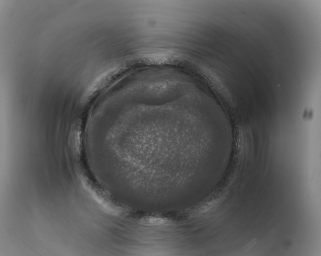 X0000111810590200908131501