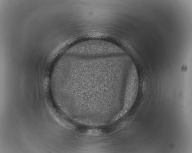 X0000111810591200908131501