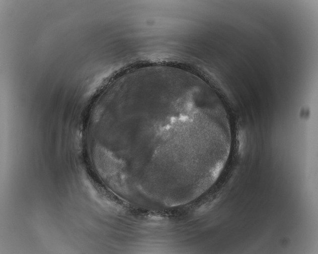 X0000111810592200908131501