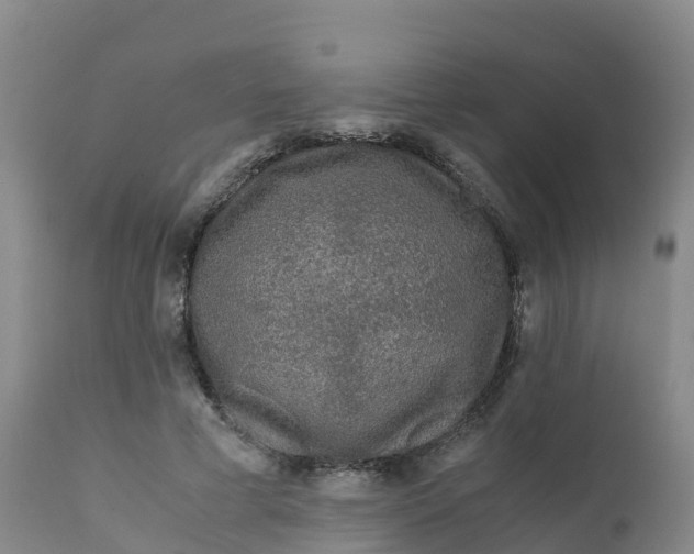 X0000111810593200908131501