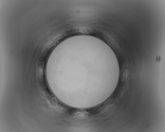 X0000111810595200908131501