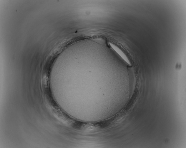 X0000111810597200908131501