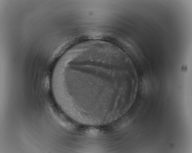 X0000111810598200908131501