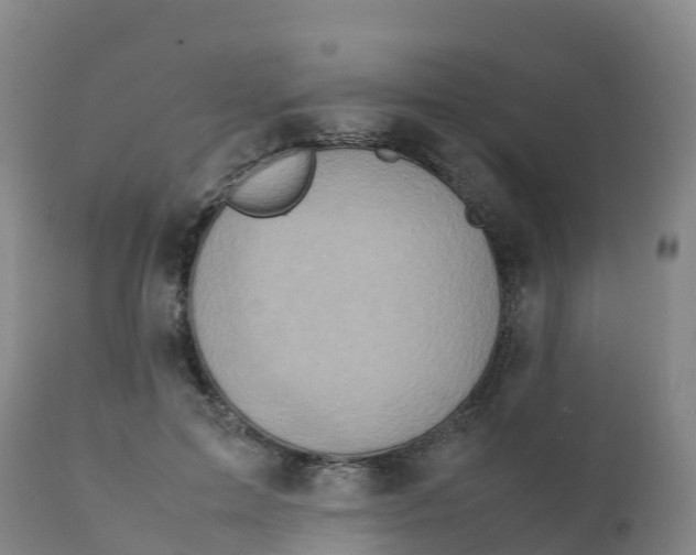 X0000111810599200908131501
