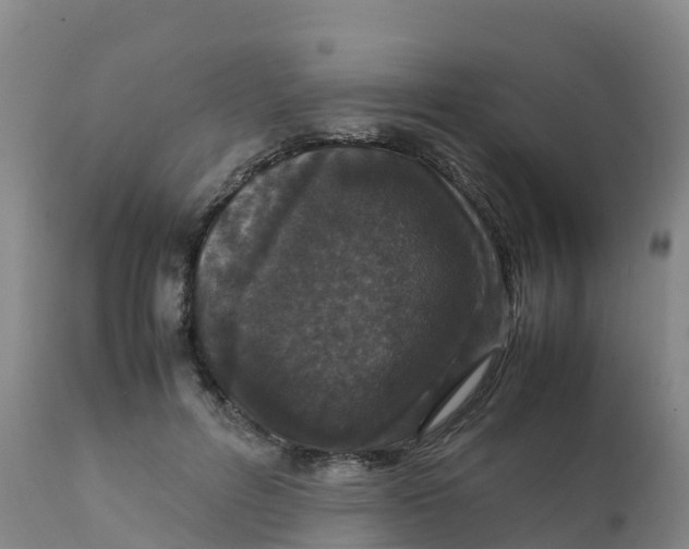 X0000111810600200908131501