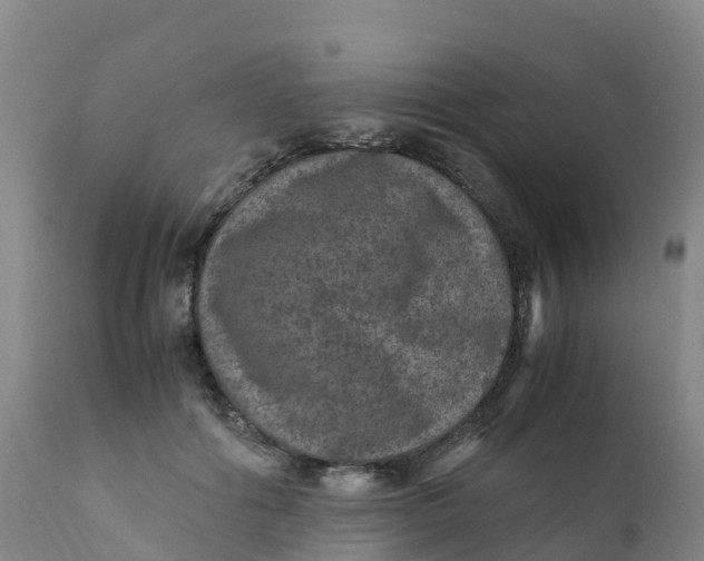 X0000111810602200908131501