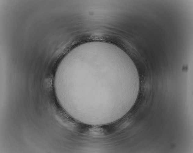 X0000111810603200908131501