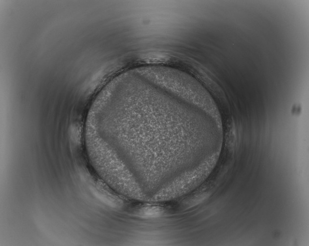 X0000111810604200908131501