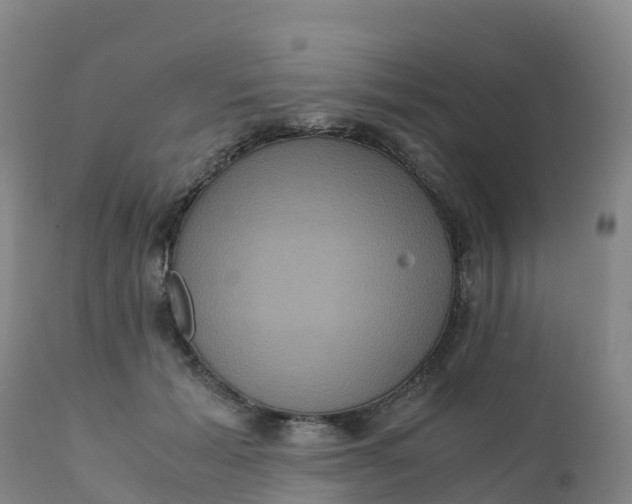 X0000111810605200908131501