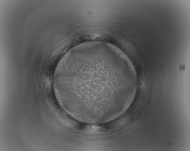 X0000111810607200908131501