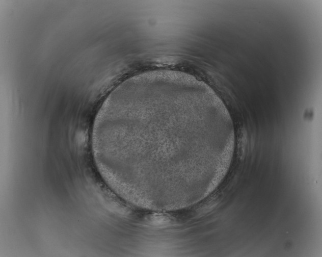X0000111810608200908131501