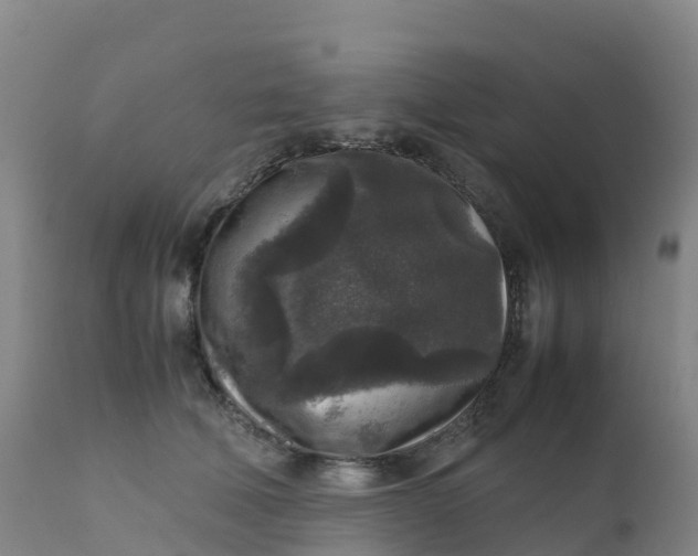 X0000111810610200908131501