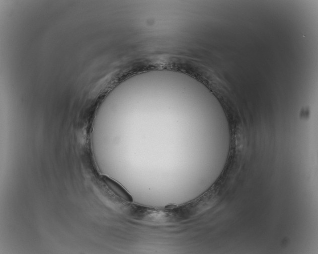 X0000111810611200908131501