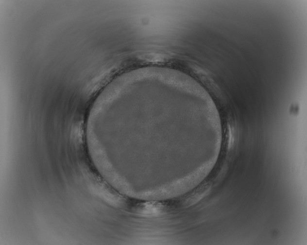 X0000111810612200908131501
