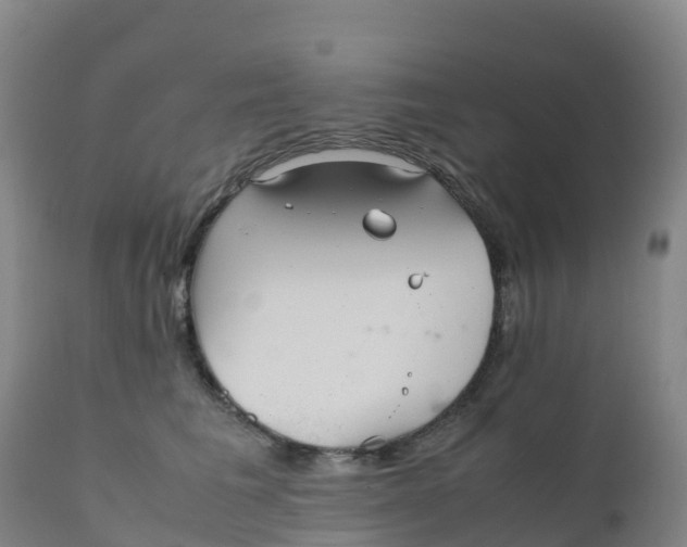X0000111810613200908131501