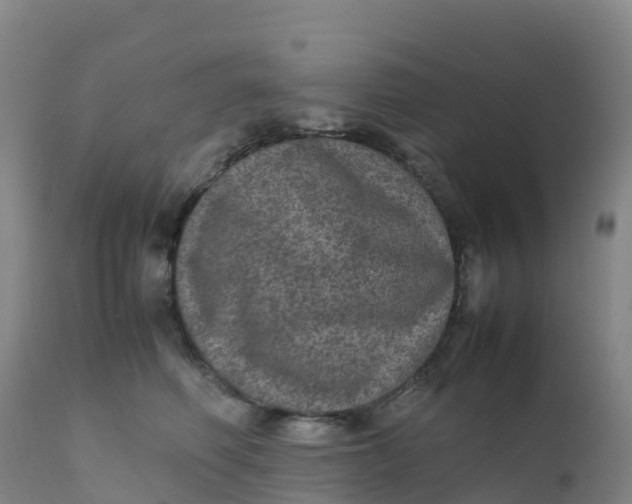 X0000111810614200908131501