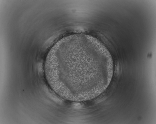 X0000111810616200908131501