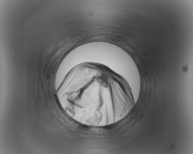 X0000111810617200908131501