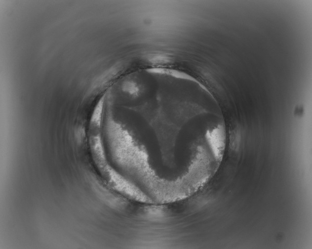 X0000111810618200908131501
