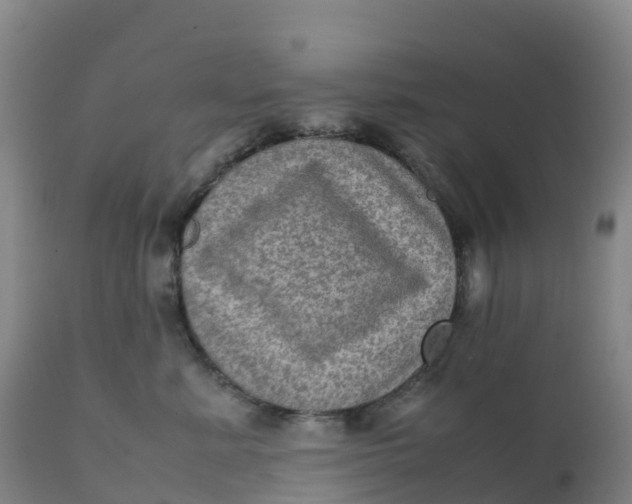 X0000111810619200908131501