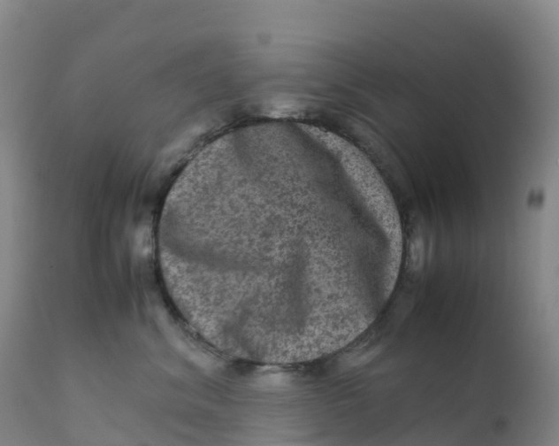 X0000111810620200908131501